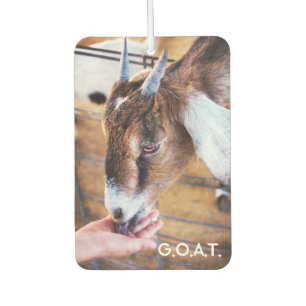 ZIEGE (Größte aller Zeiten) Air Freshener Autolufterfrischer