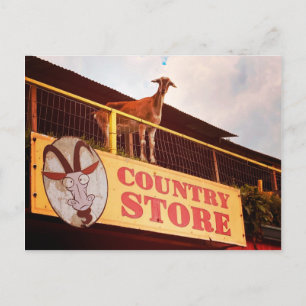 Ziege im Landhaus auf dem Dach Postkarte