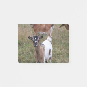 Ziege in einem Feld Post-it Klebezettel