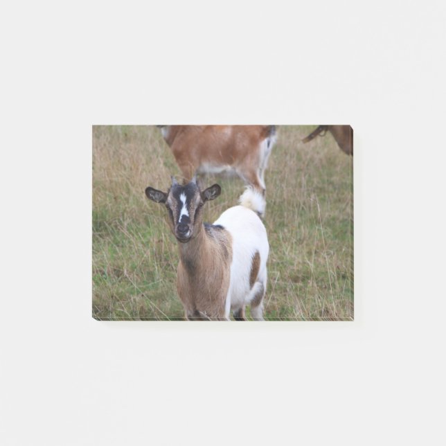 Ziege in einem Feld Post-it Klebezettel (Vorderseite)