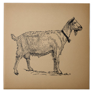 Ziege mit Glocke Illustration Antik gealtert Braun Fliese
