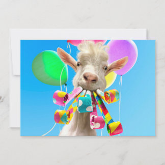 Ziege mit Partyböllern Einladung