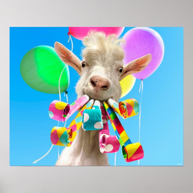 Ziege mit Partyböllern Poster (Vorne)