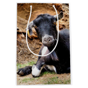 ZIEGE MITTLERE GESCHENKTÜTE