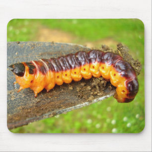 Ziege Moth Raupe Mouse Mat Mousepad