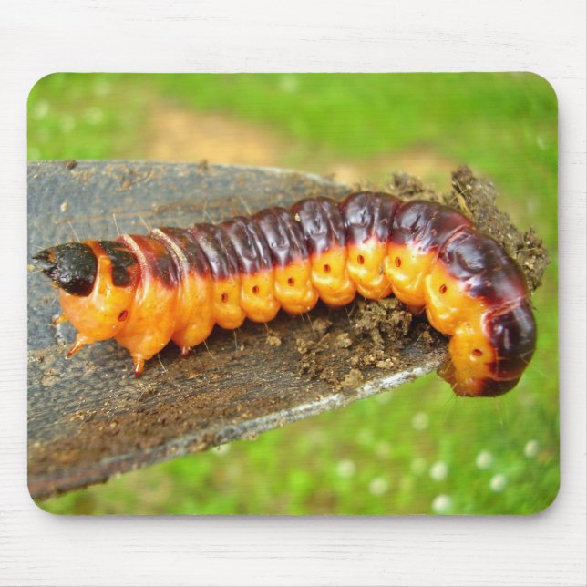 Ziege Moth Raupe Mouse Mat Mousepad (Vorne)