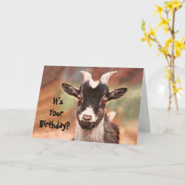 Ziege Niedlich Funny Country Barnyard Karte
