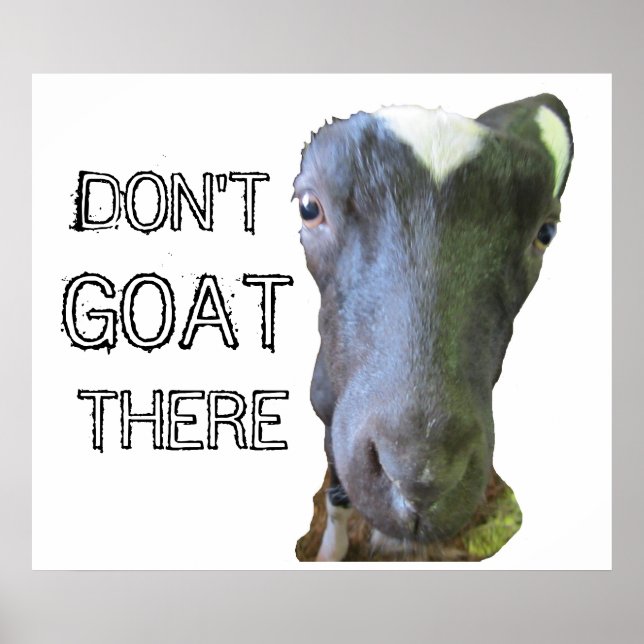 Ziege-Poster "GOAT DORT NICHT" Poster (Vorne)