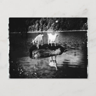 Ziege Power Postkarte