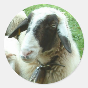 Ziege Runder Aufkleber