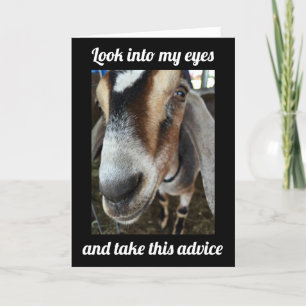 ZIEGE SAGT: "GEHEN SIE AUS UND FEIERN **50.** GEBU KARTE