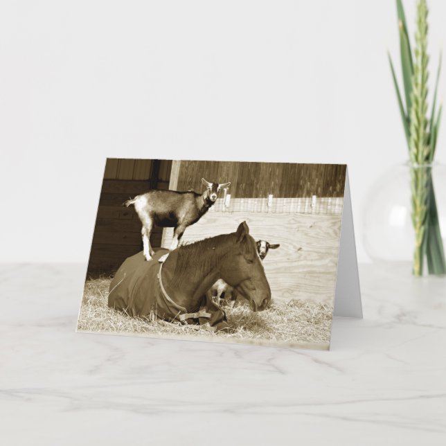 Ziege Stehend auf Pferd Karte (Vorderseite)