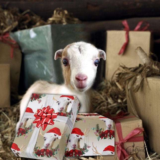 Ziege Weihnachten Adorable LaMancha Kind in Antler Geschenkpapier (Von Creator hochgeladen)