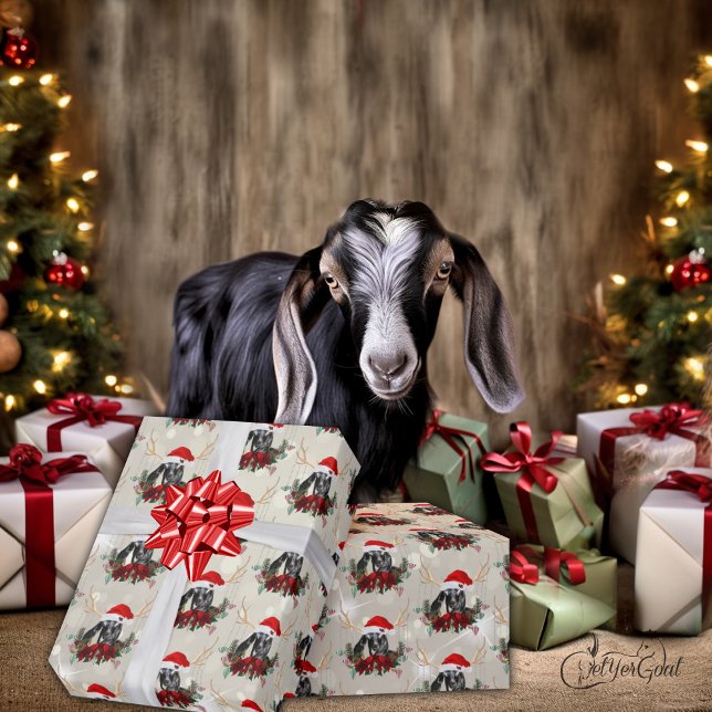 Ziege Weihnachten Niedliche Nubian Baby Goat in An Geschenkpapier (Von Creator hochgeladen)