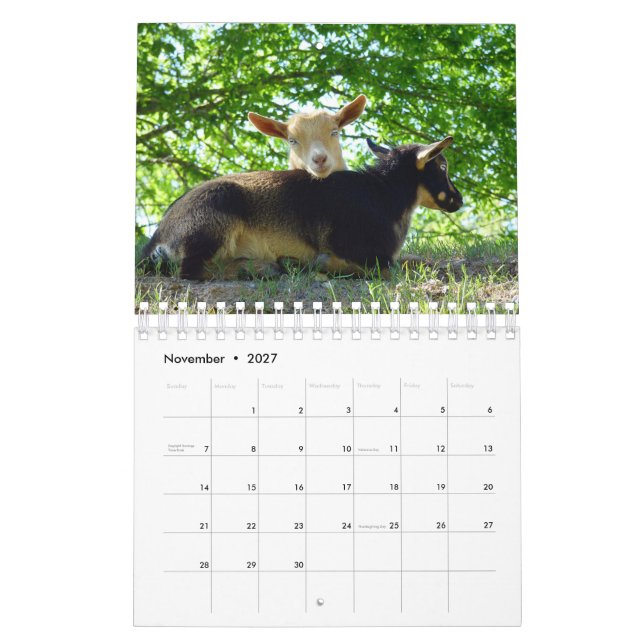 Ziegen auf Bauernhof-Kalender des Gras-KNS Kalender (Nov 2027)