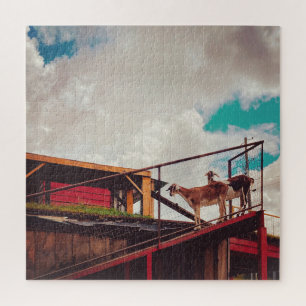 Ziegen auf dem Dach Puzzle