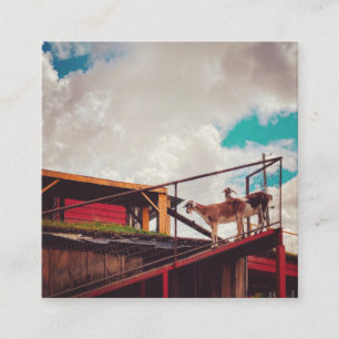 Ziegen auf dem Dach Quadratische Visitenkarte