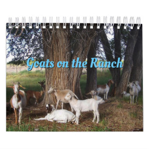 Ziegen auf der Ranch v3-Kalender Kalender