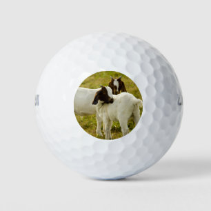 Ziegen, braun und weiß golfball