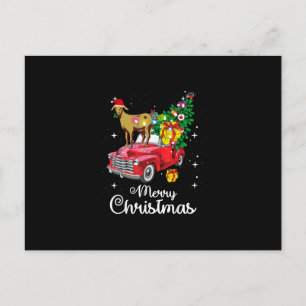 Ziegen fahren auf rotem Lastwagen Weihnachts-Schla Einladungspostkarte