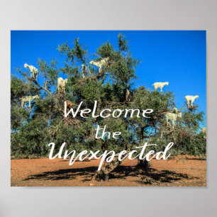 Ziegen in Bäumen willkommen im Unerwarteten Poster