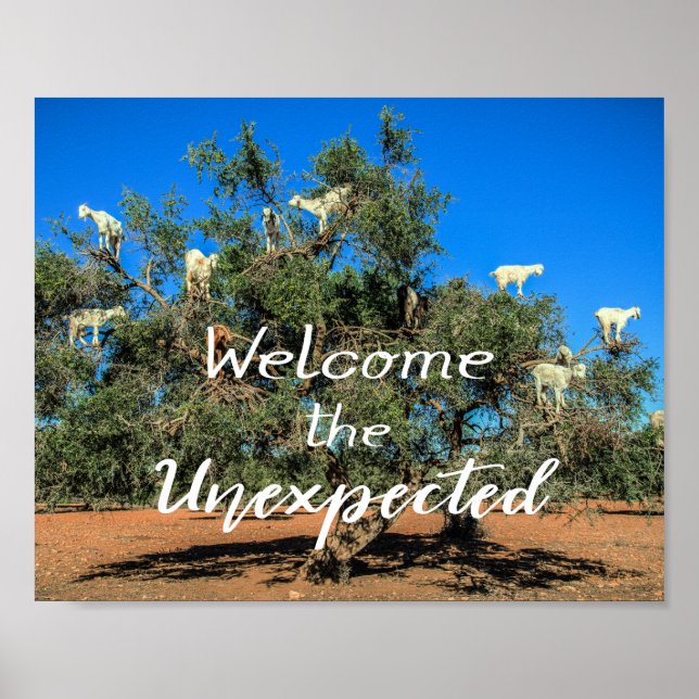 Ziegen in Bäumen willkommen im Unerwarteten Poster (Vorne)