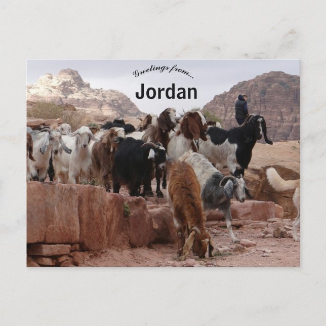 Ziegen in Petra Jordan Postkarte (Vorderseite)