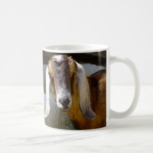 Ziegen Kaffeetasse