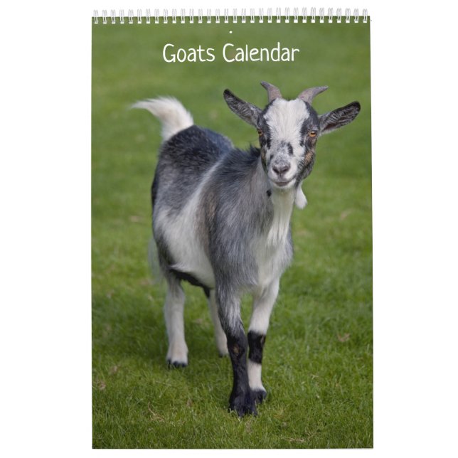 Ziegen Kalender (Titelbild)