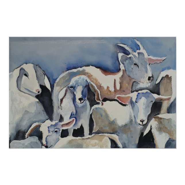 Ziegen Poster (Vorderseite)