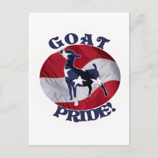 ZIEGEN-STOLZ-AMERIKANISCHE FLAGGE USA POSTKARTE