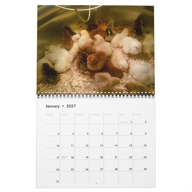 Ziegen und Geflügel-Kalender 2013 Kalender (Jan 2027)