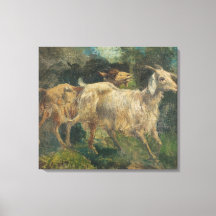 Ziegen (von Vincenzo Caprile)