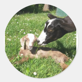 Ziegenaufkleber Set 6 Runder Aufkleber