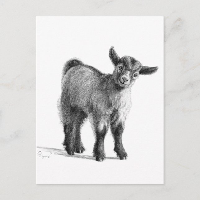 Ziegenbaby G097 Postkarte (Vorderseite)