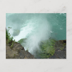 Ziegeninsel Terrapin Point Niagara Falls Postcard Postkarte