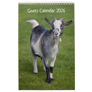 Ziegenkalender Kalender