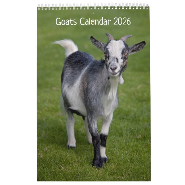 Ziegenkalender Kalender (Titelbild)
