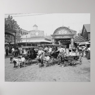 Ziegenkarren auf Coney Island, 1910. Vintage Poster