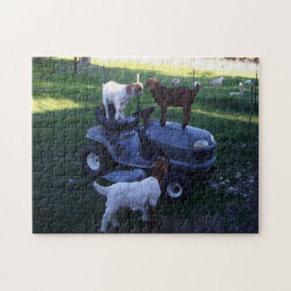 Ziegenkinder als Mäher Puzzle