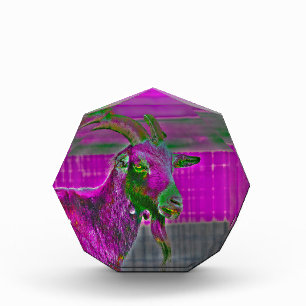 Ziegenkunst Fotoblock