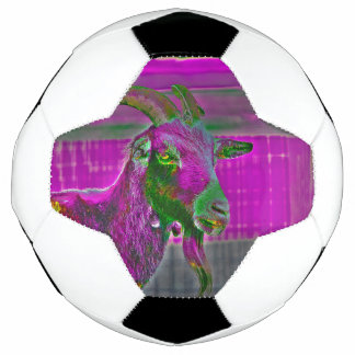 Ziegenkunst Fußball