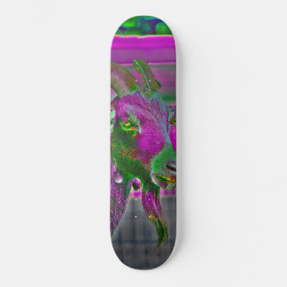 Ziegenkunst Skateboard