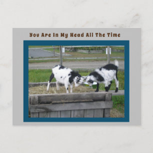 Ziegenpost-Karte Postkarte