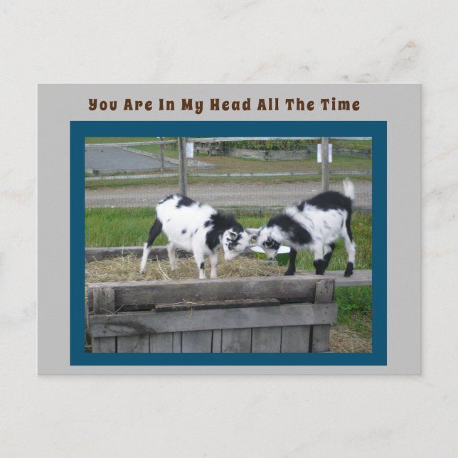 Ziegenpost-Karte Postkarte (Vorderseite)