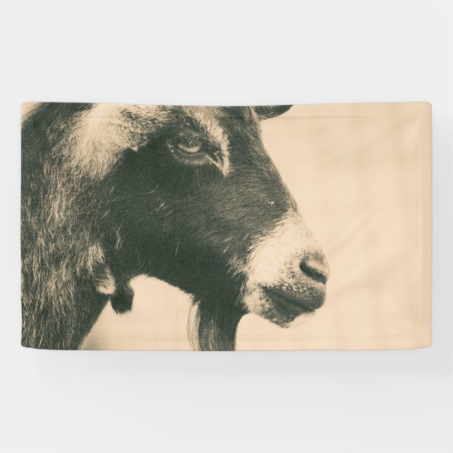 Ziegenprofil Banner (Horizontal)