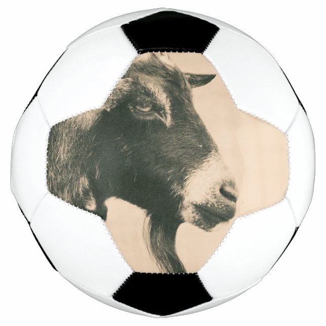 Ziegenprofil Fußball (Vorderseite)