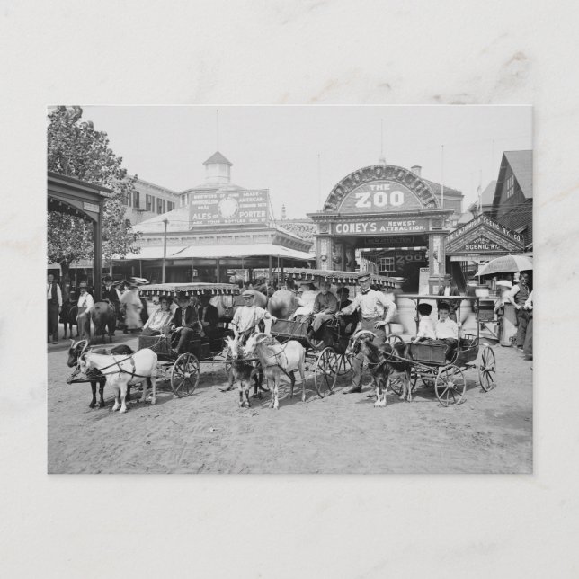 Ziegenschiffe auf Coney Island, 1910 Postkarte (Vorderseite)