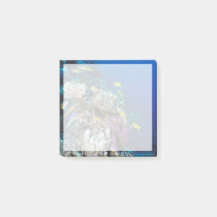 Ziegenschwarm rund um kleine Korallen Post-it Klebezettel