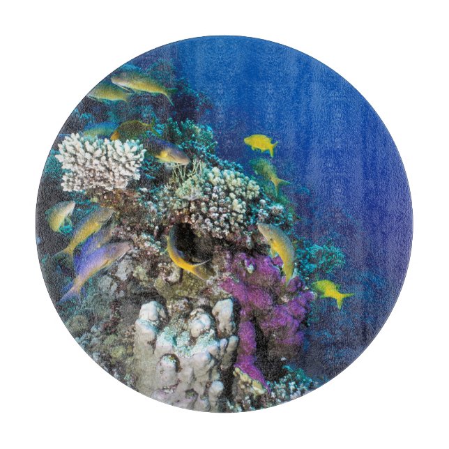 Ziegenschwarm rund um kleine Korallen Schneidebrett (Vorderseite)